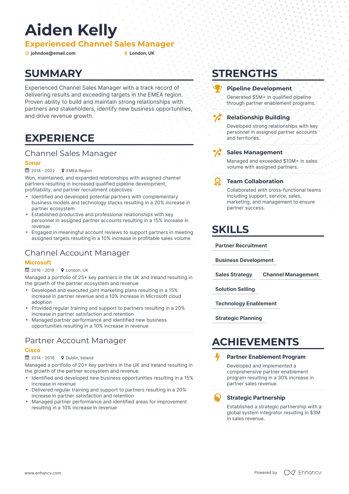 5 Channel Sales Manager Resume Examples & Guide for 2024