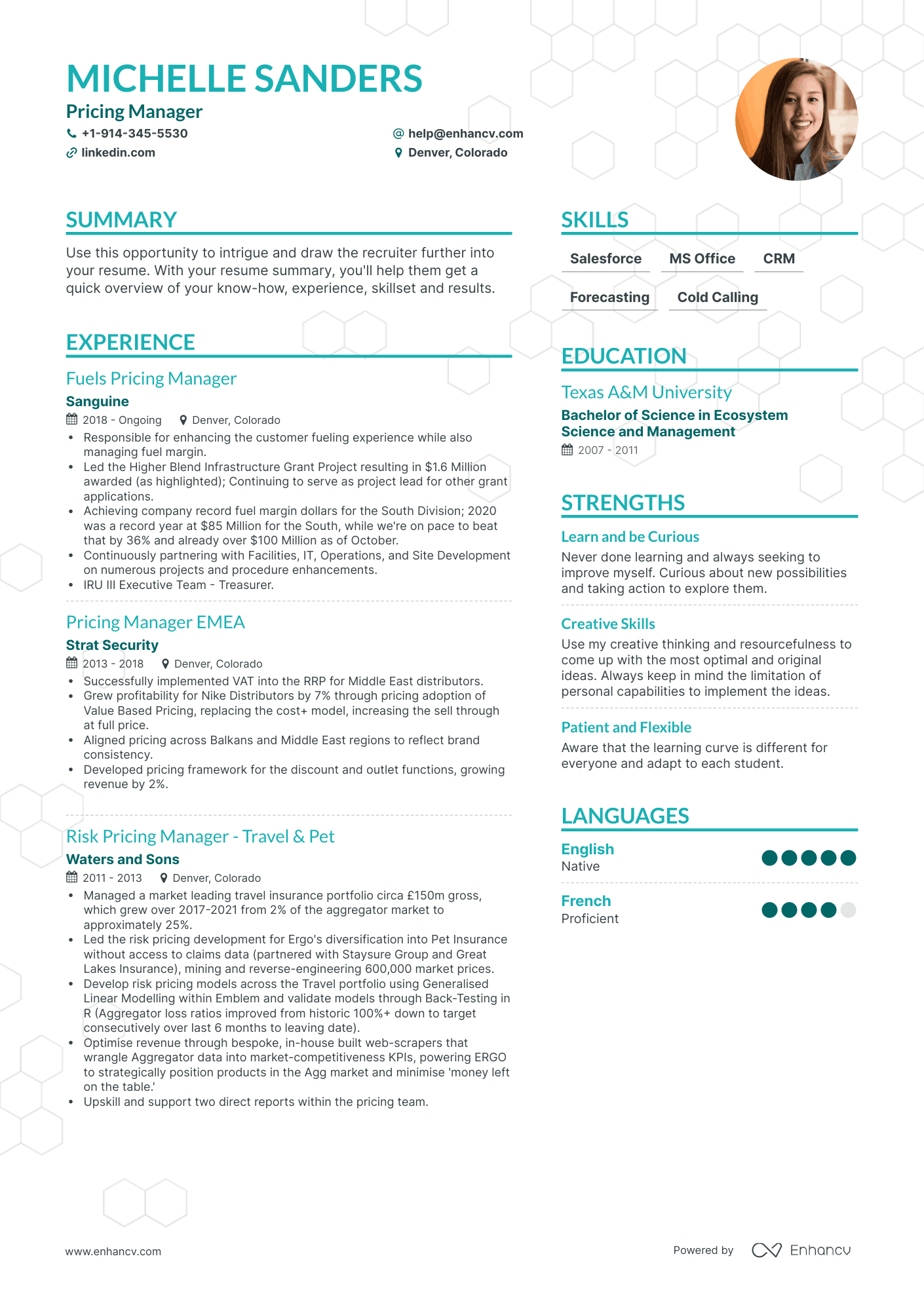 Pricing Manager Resume Examples & Guide for 2023 (Layout, Skills ...