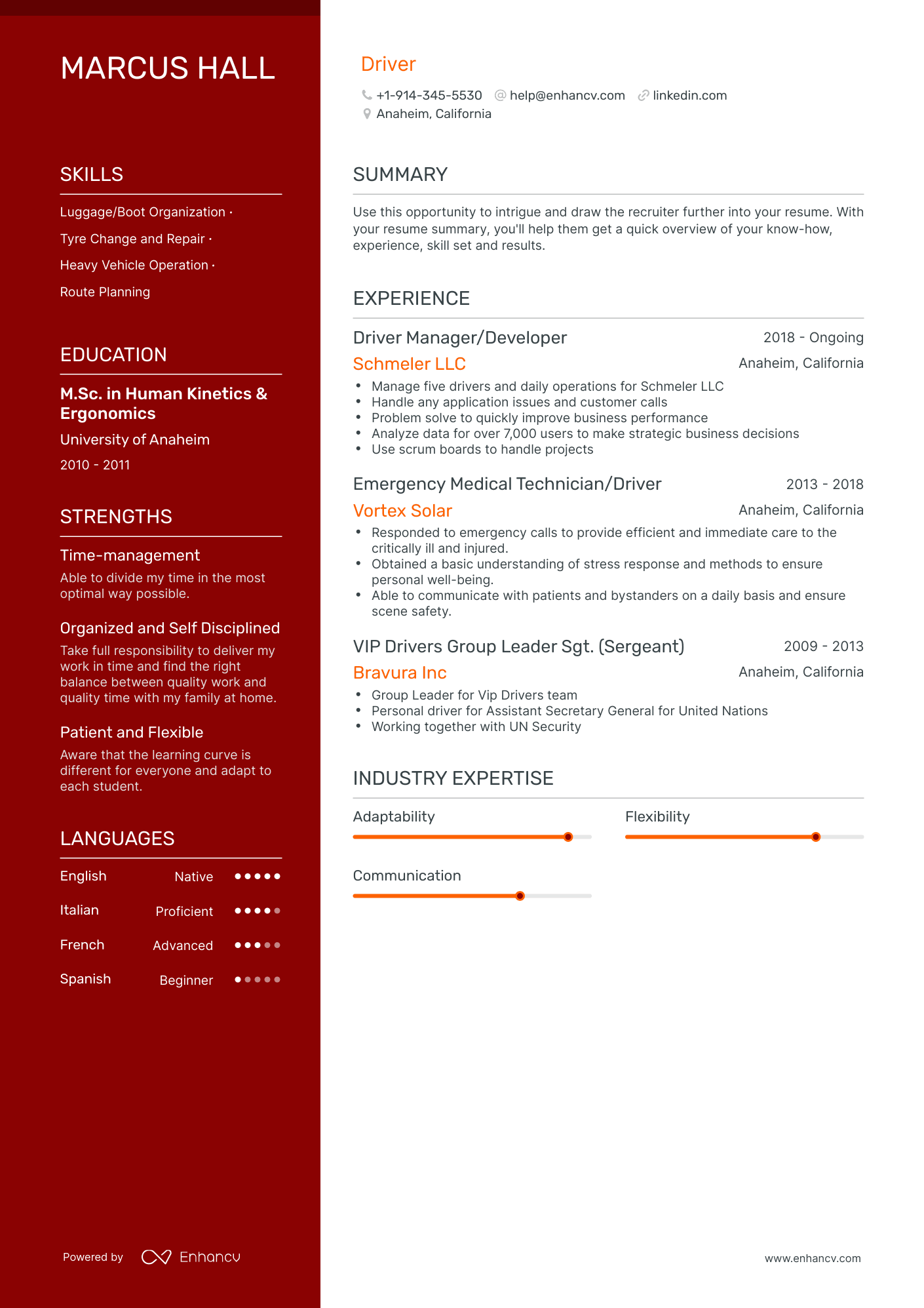 4 Driver Resume Examples & Guide for 2024