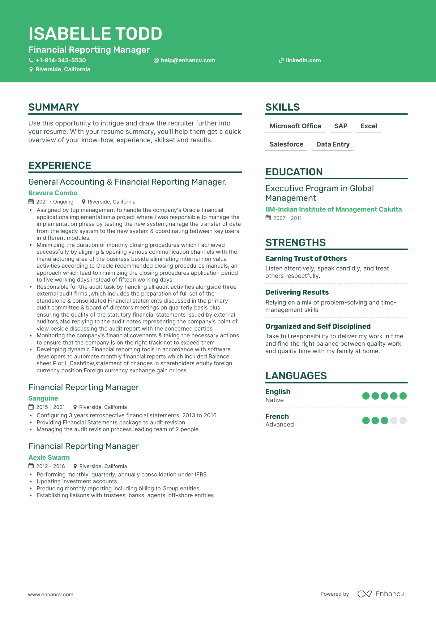 Financial Reporting Manager Resume Examples & Guide for 2023 (Layout ...