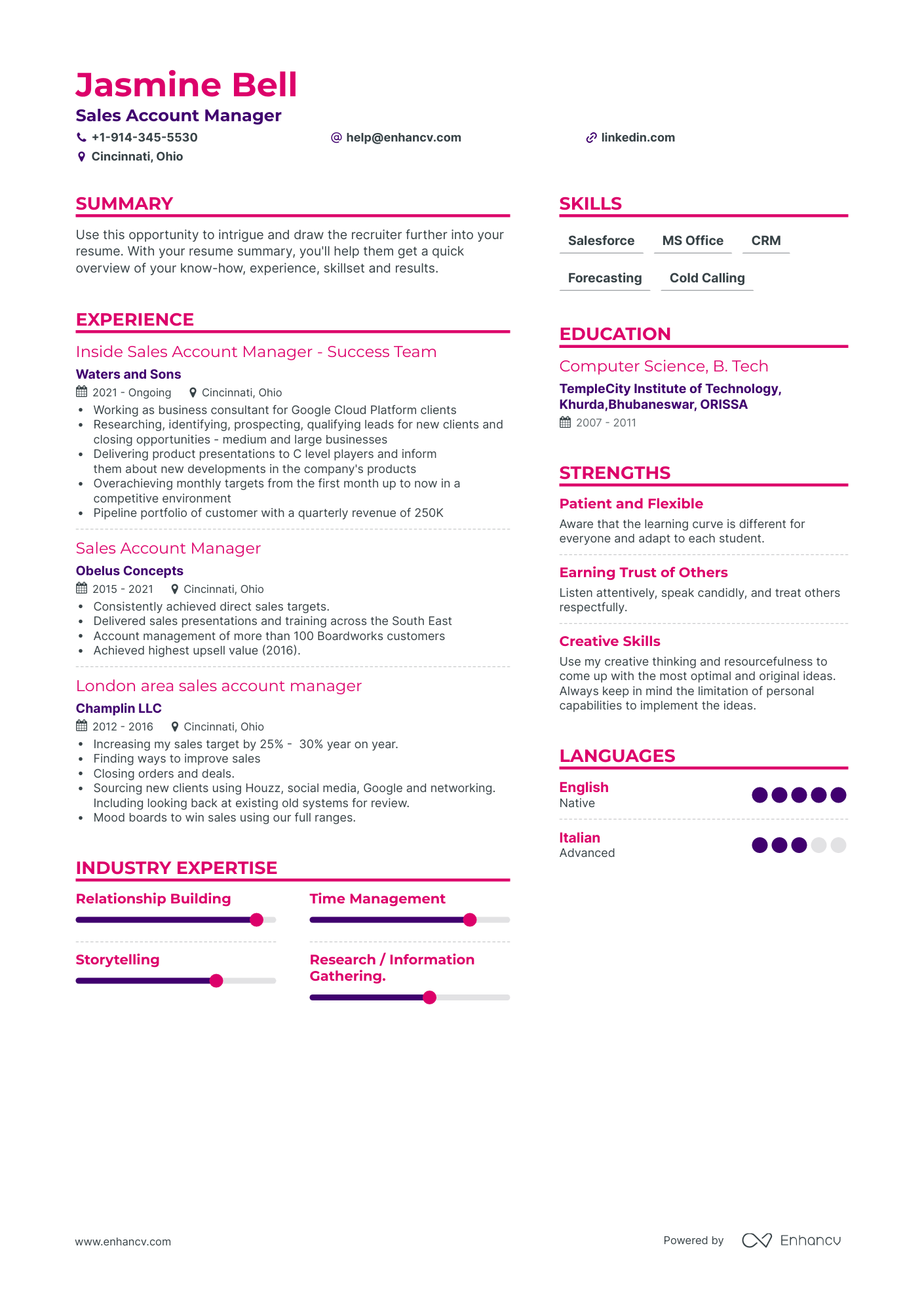 Sales Account Manager Resume Examples & Guide for 2023 (Layout, Skills ...