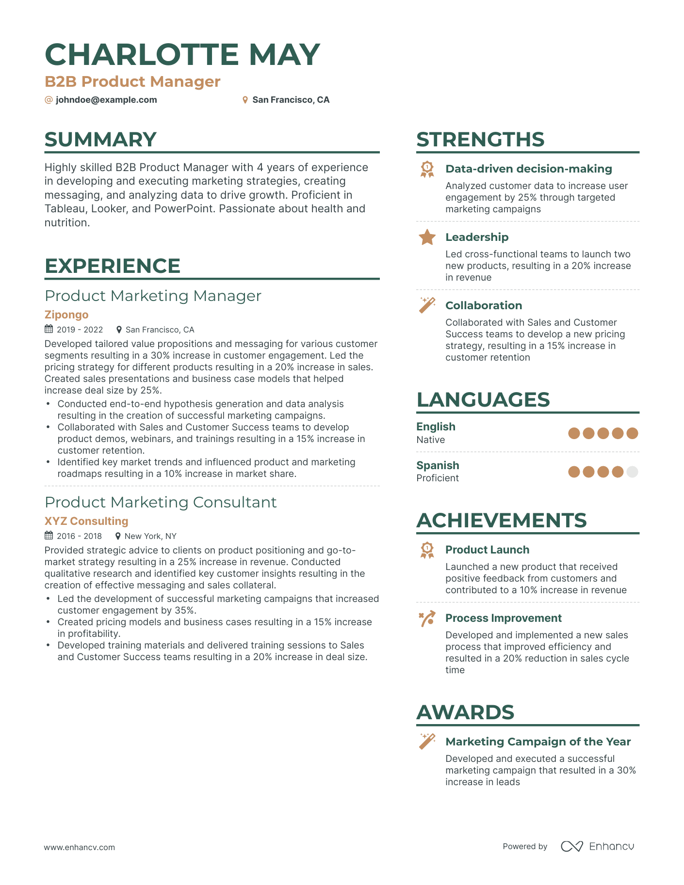 b2b marketing resume examples