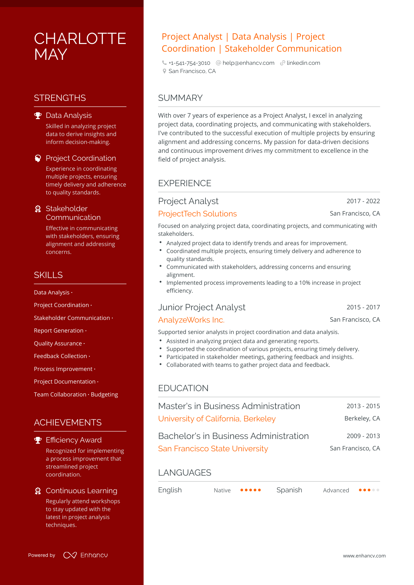 5 Project Analyst Resume Examples & Guide for 2024