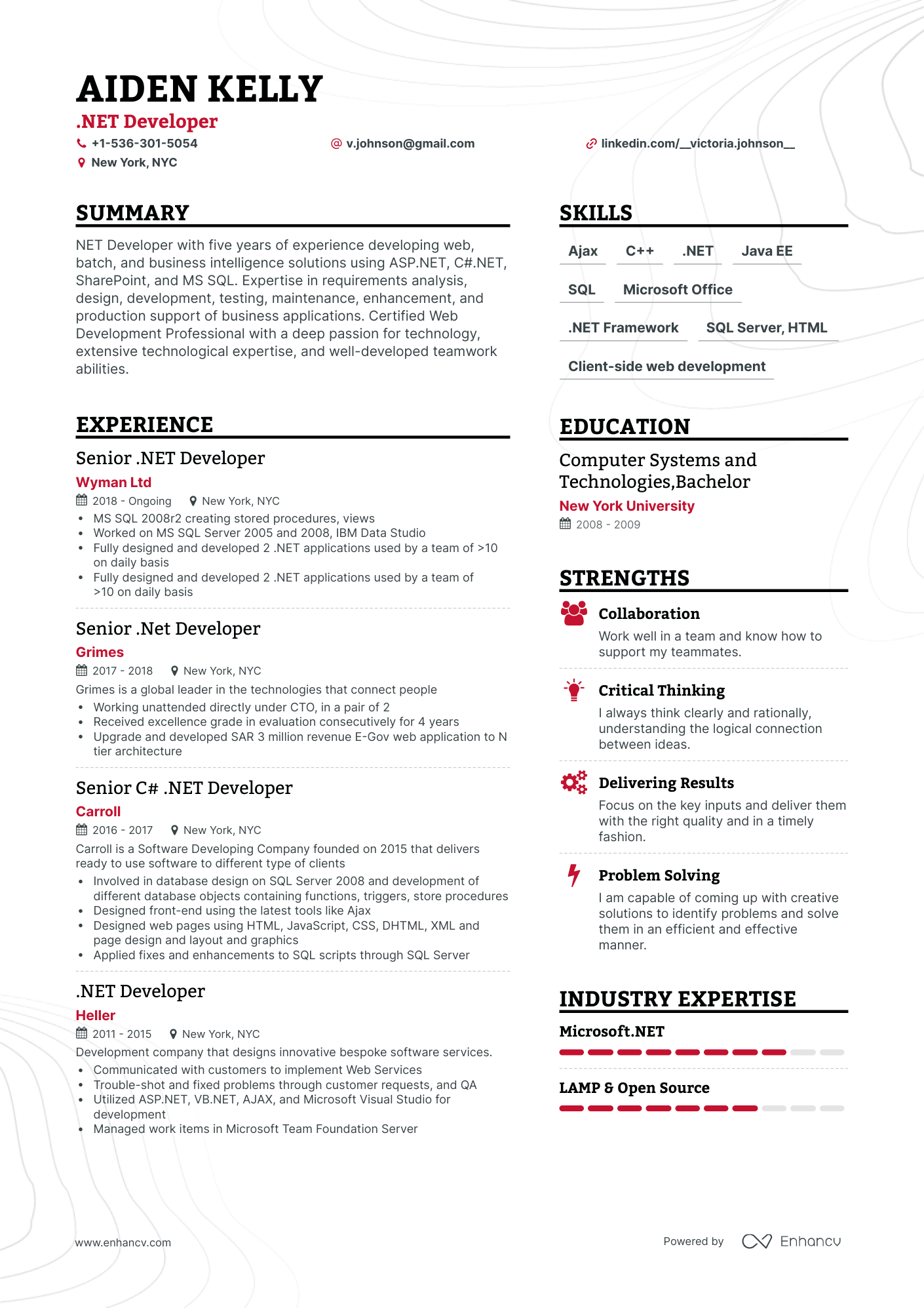 resume sample for .net developer