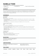 Resume Template Example 2