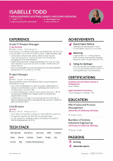 Resume Template Example 4