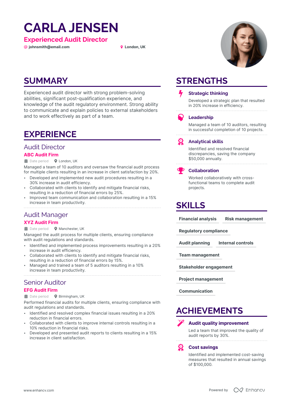 audit director resume example