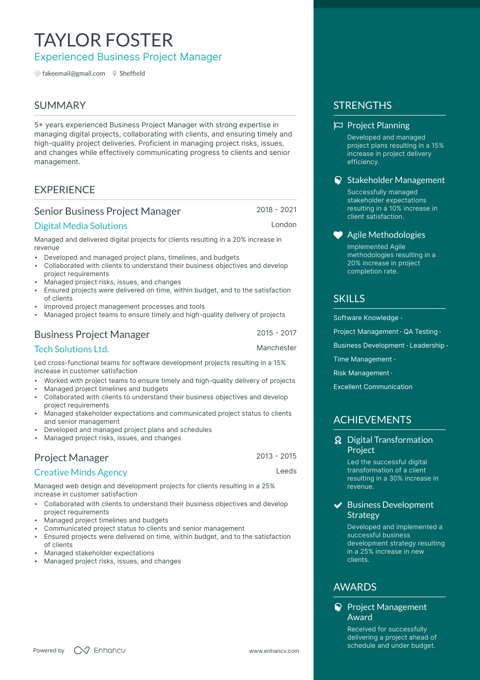 Business Project Manager resume example