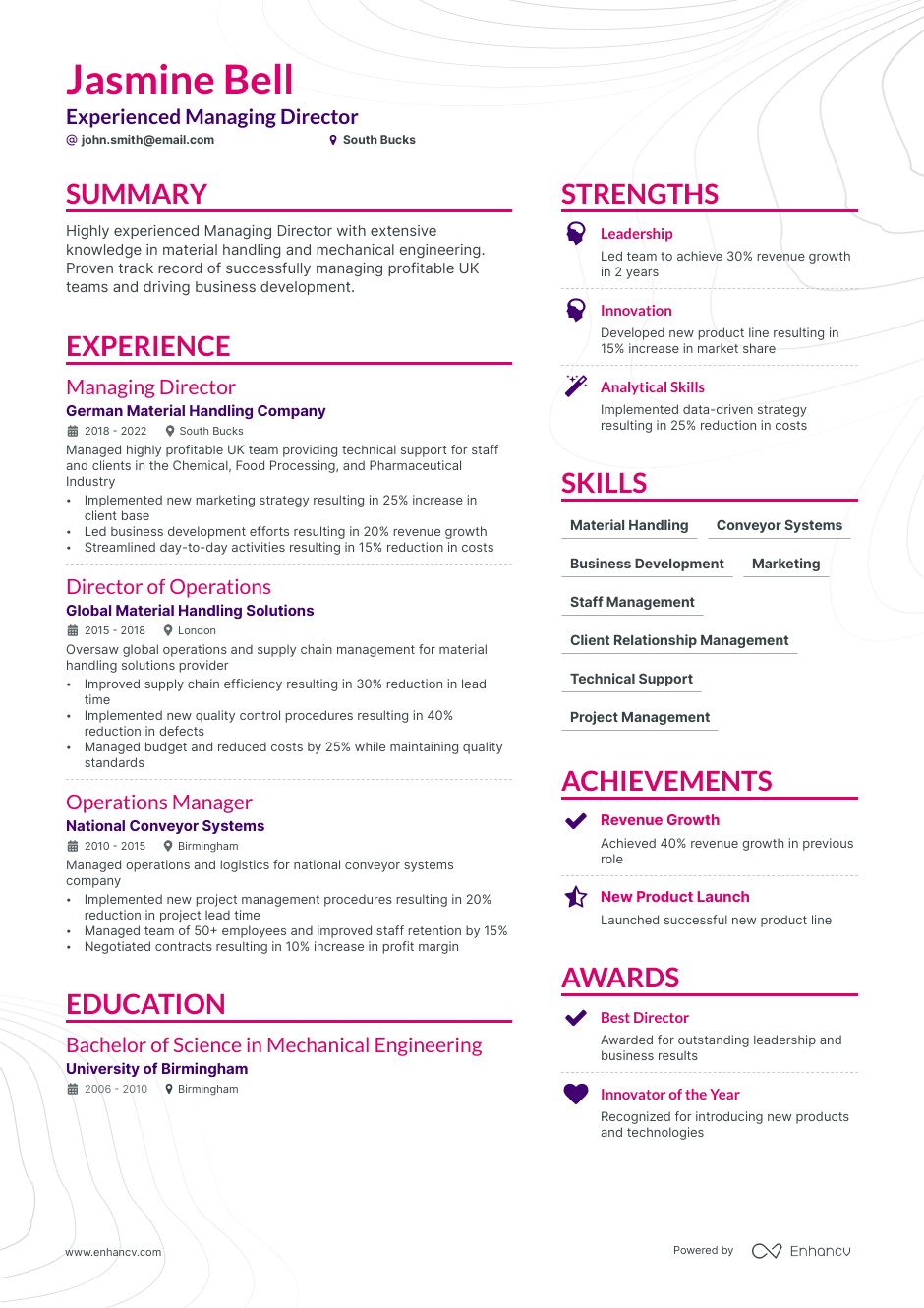 Director resume example