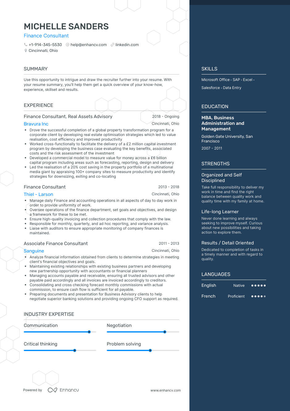 finance consultant resume example