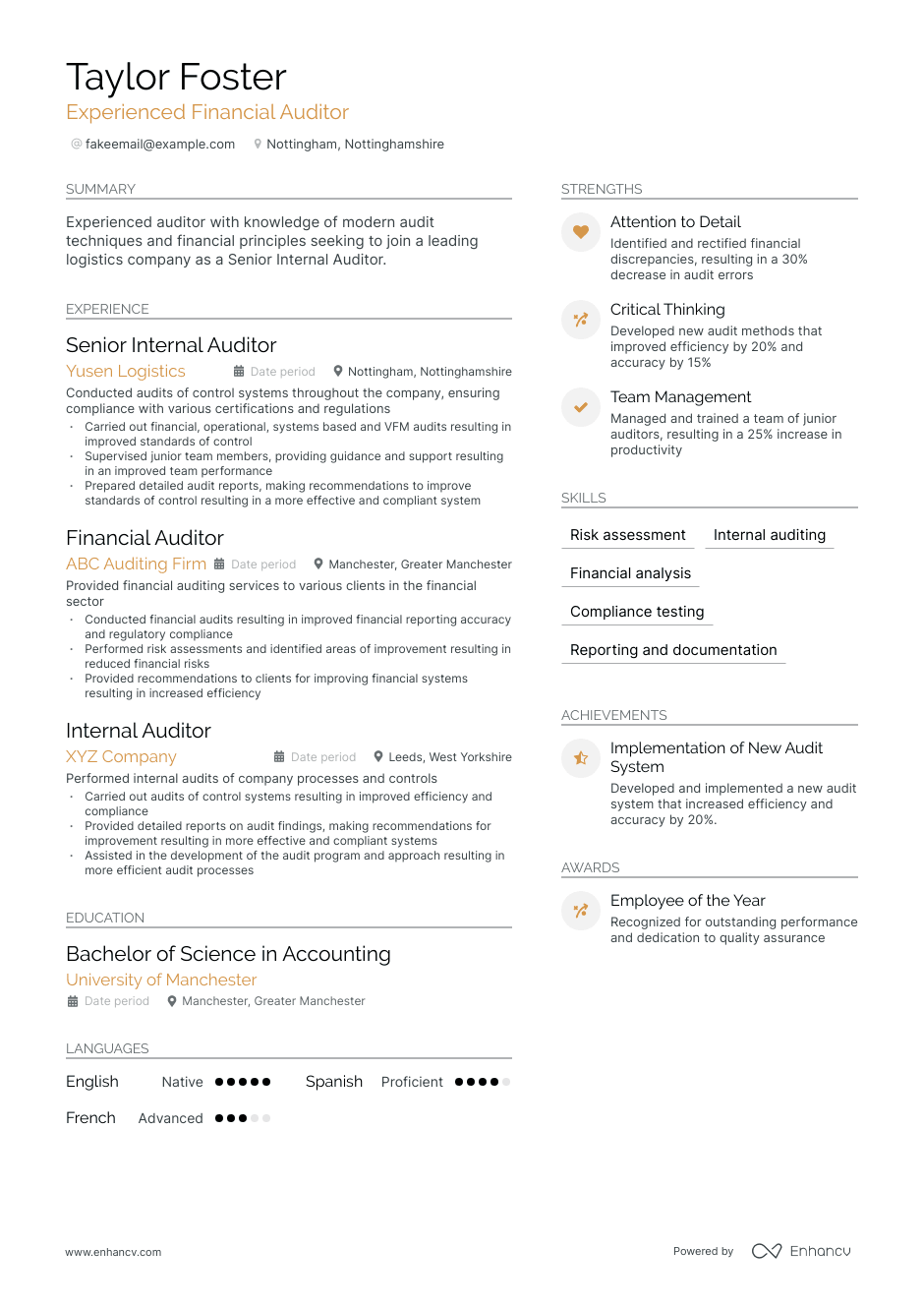 Financial Auditor resume example