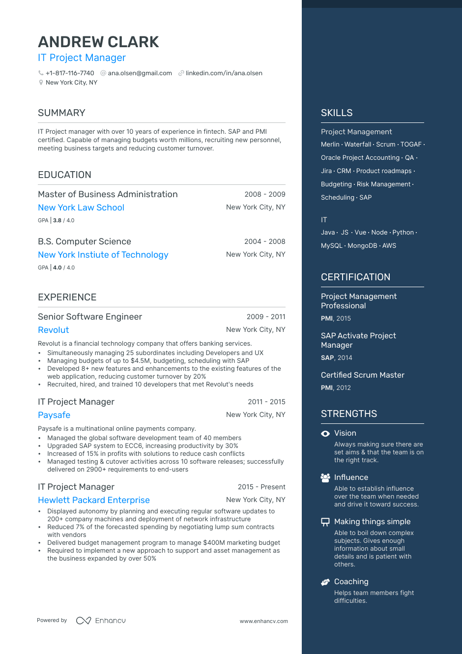 it project manager resume example