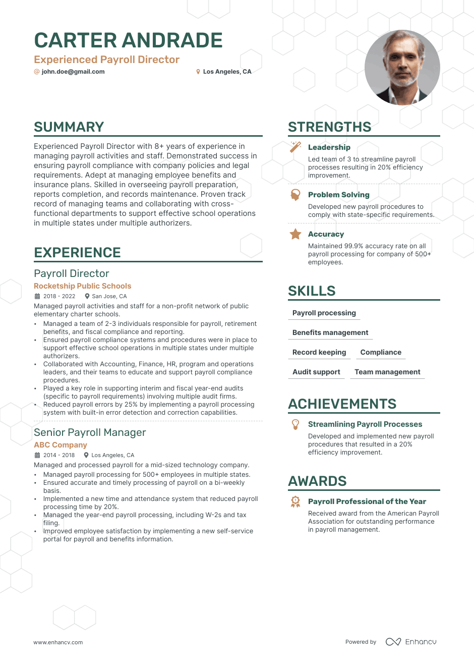 Payroll Director resume example