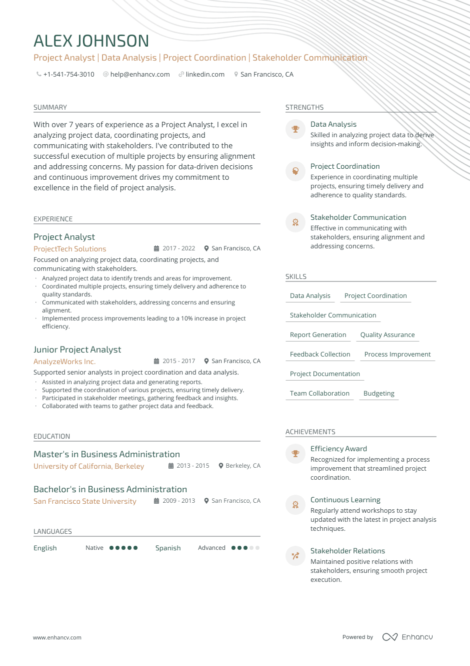 project analyst resume example