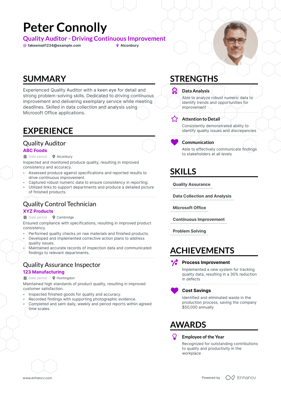 Quality Auditor resume example