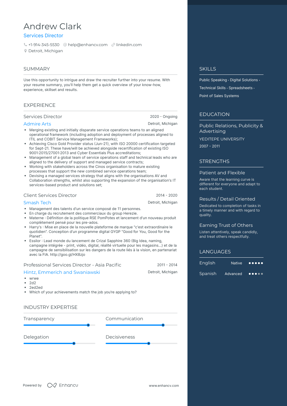 services director resume example