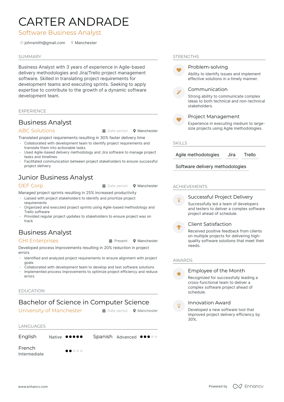 software business analyst resume example