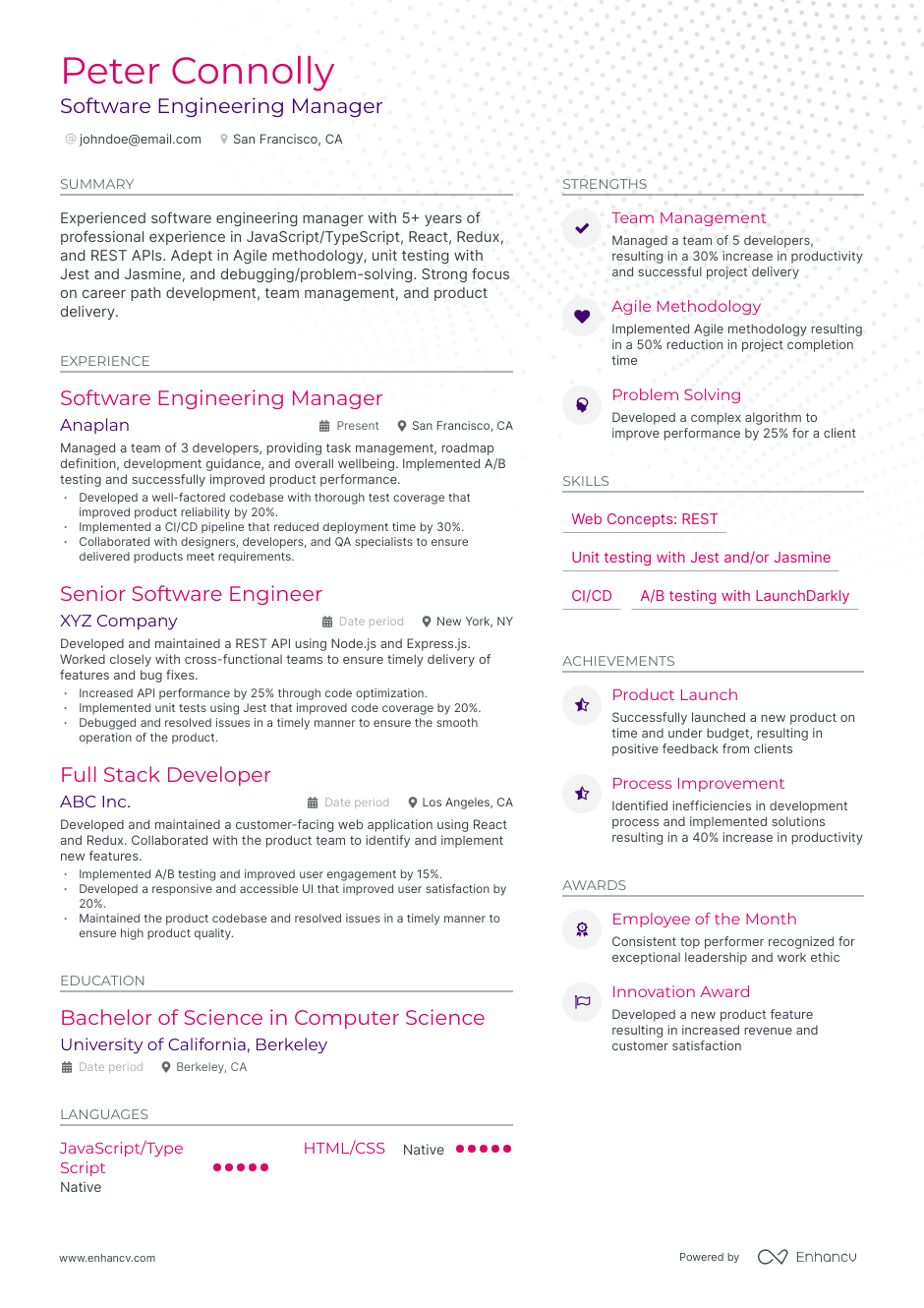 Software Engineering Manager resume example