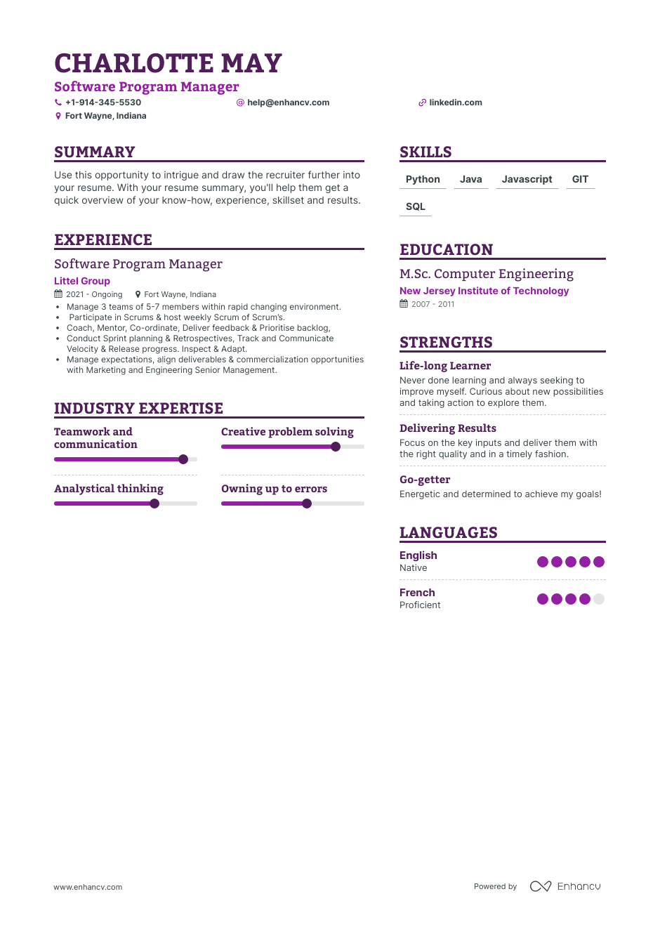 Software Program Manager resume example