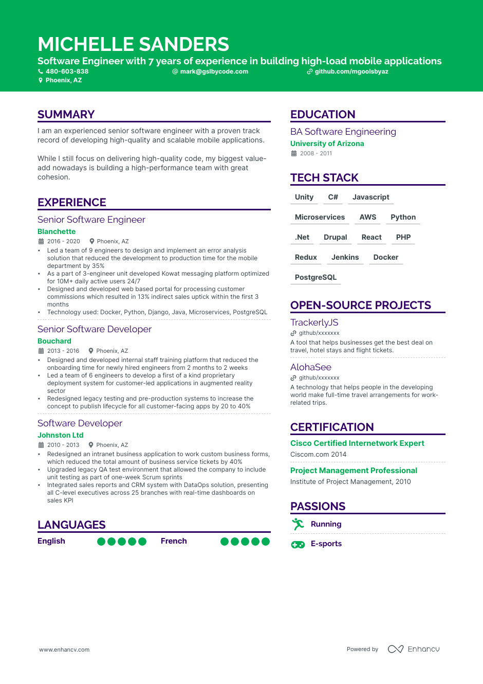 Tech resume example