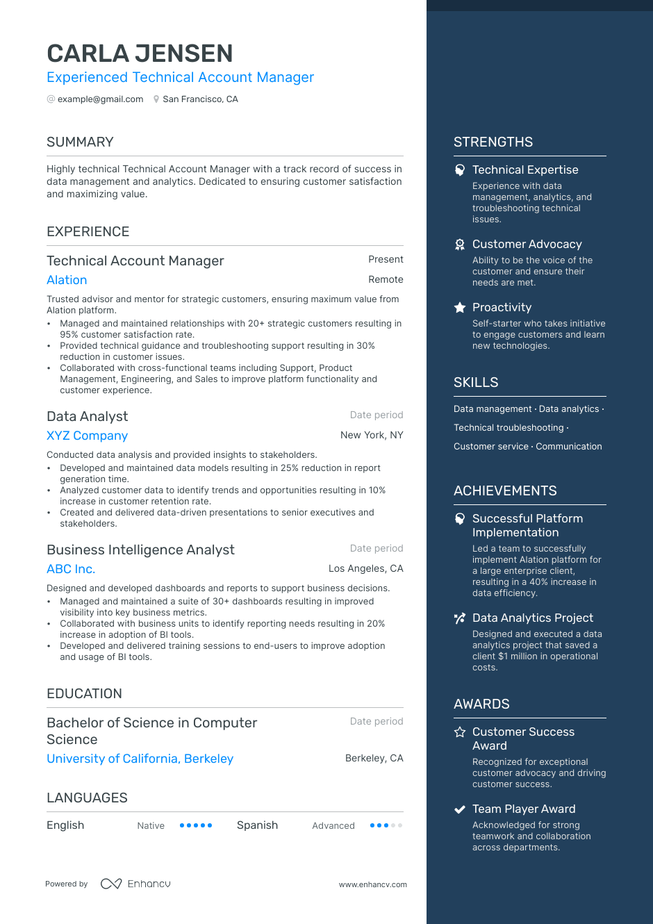 technical account manager resume example