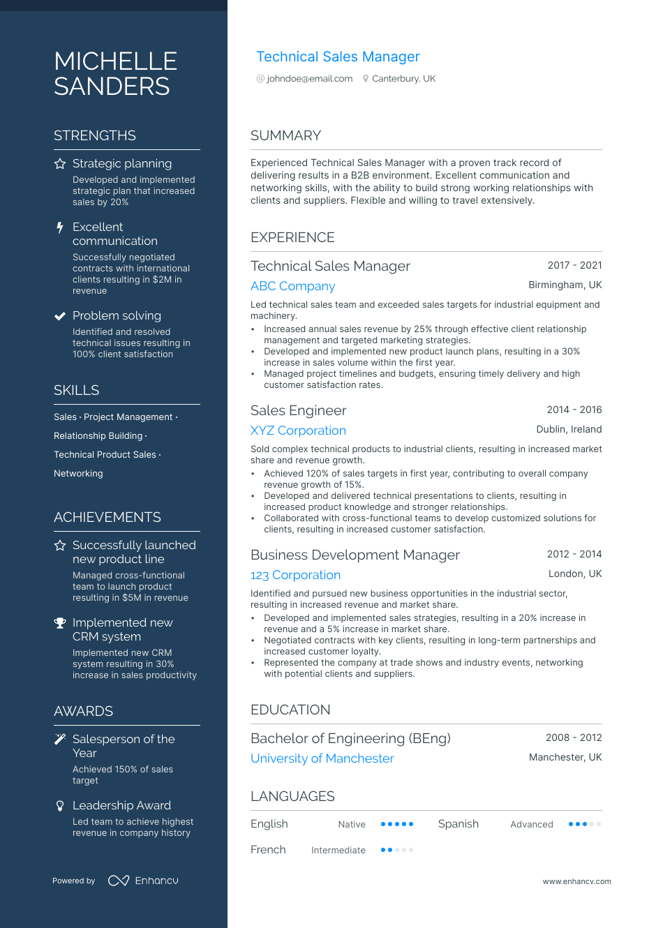 technical sales manager resume example