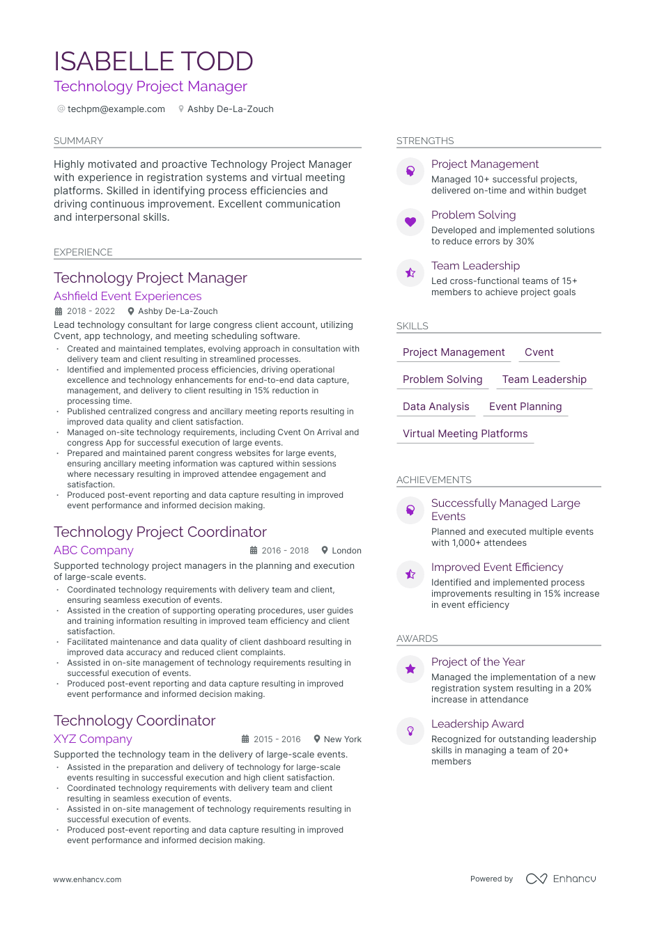 Technology Project Manager resume example