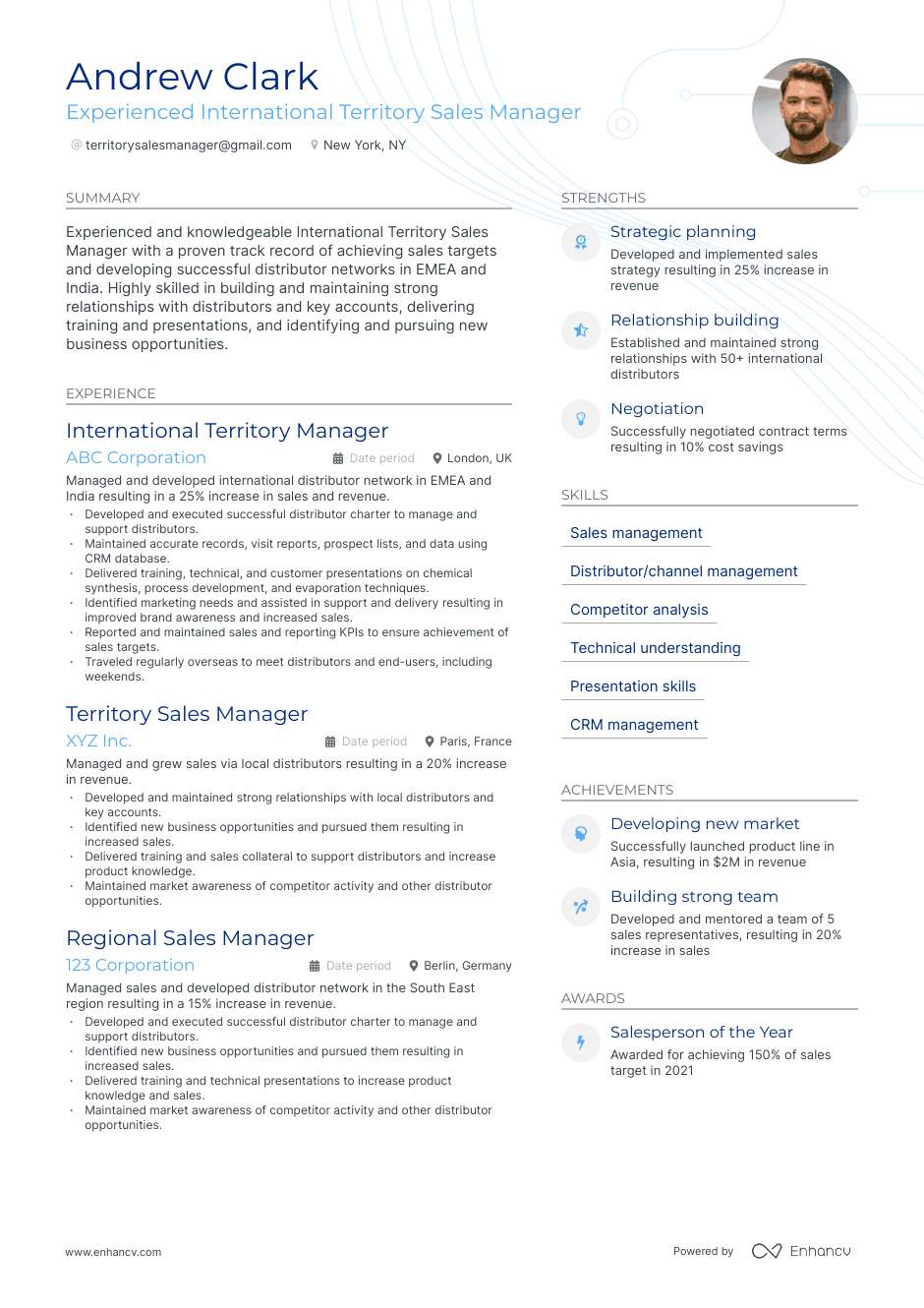 territory sales manager resume example