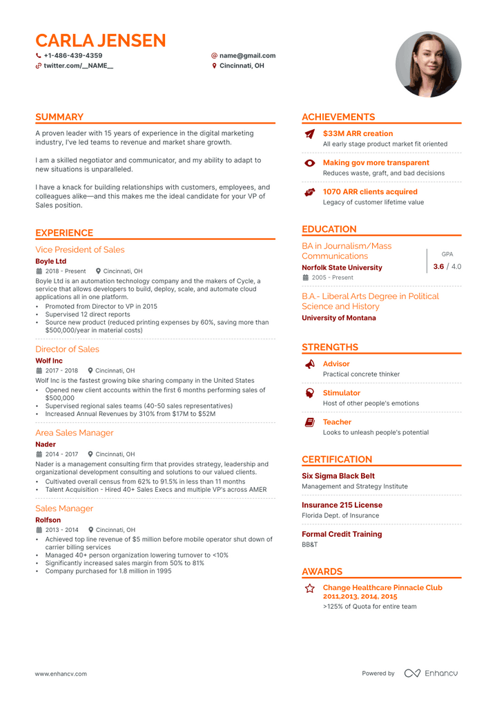 vp of sales resume example