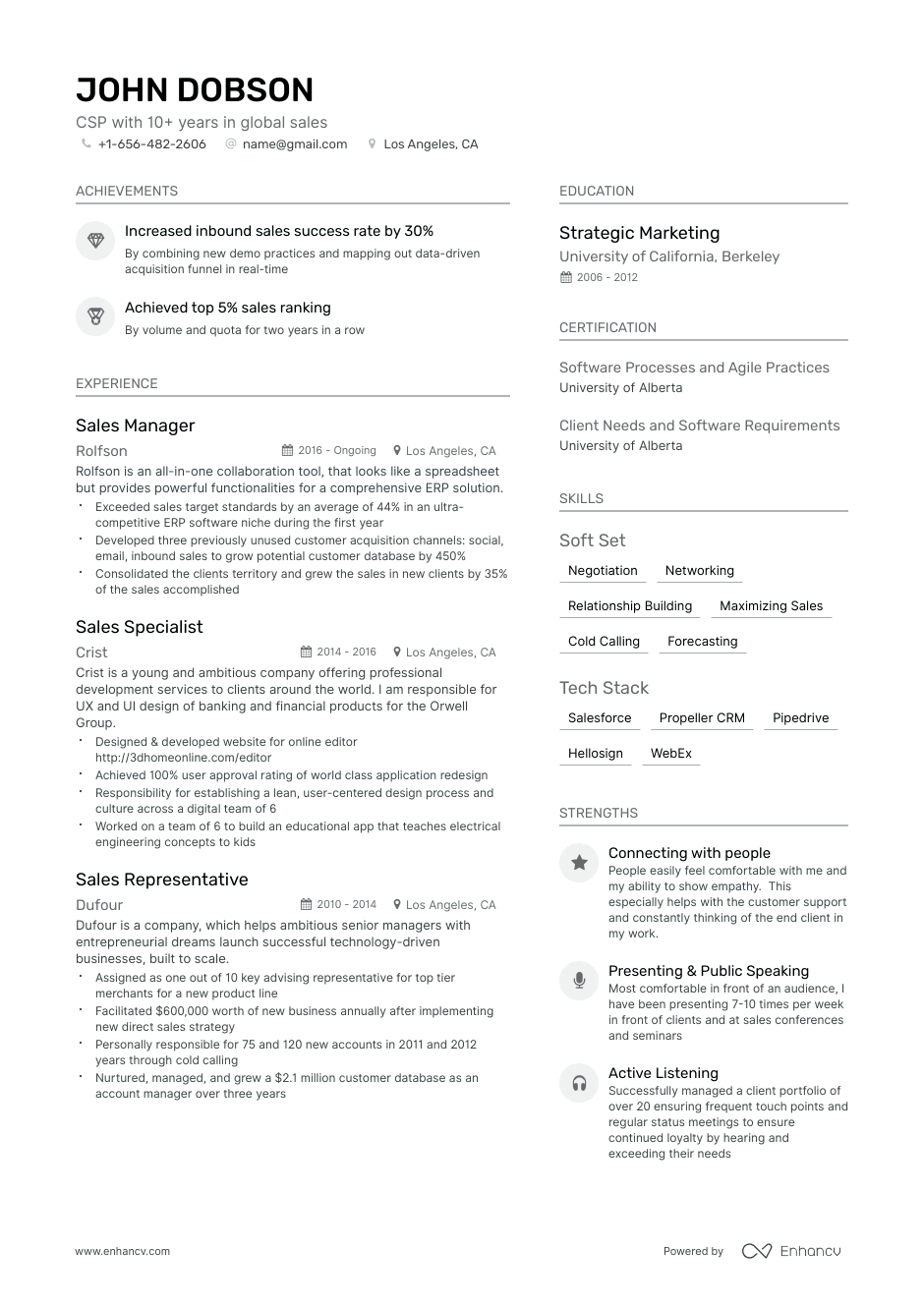 Sales resume
