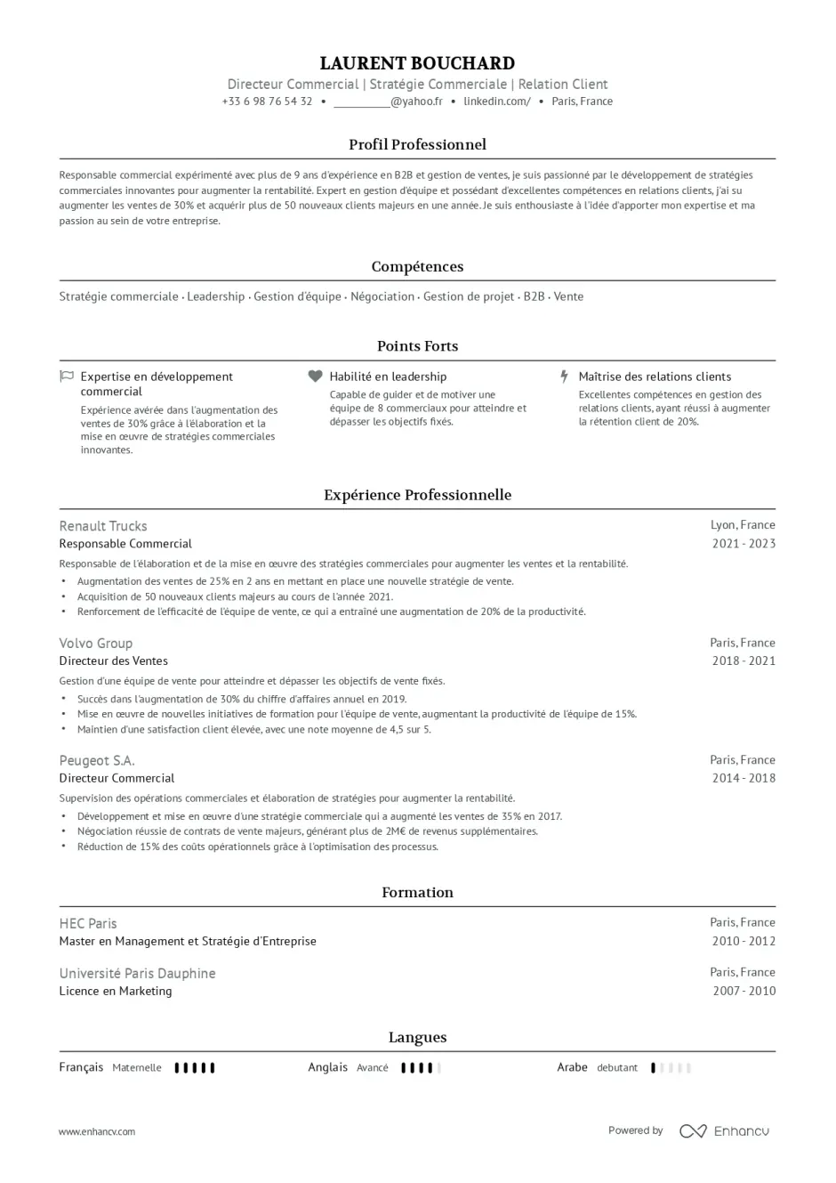 Modèle de CV au Format Harvard xemple de CV au format Harvard mettant en avant compétences en stratégie commerciale et expérience professionnelle.