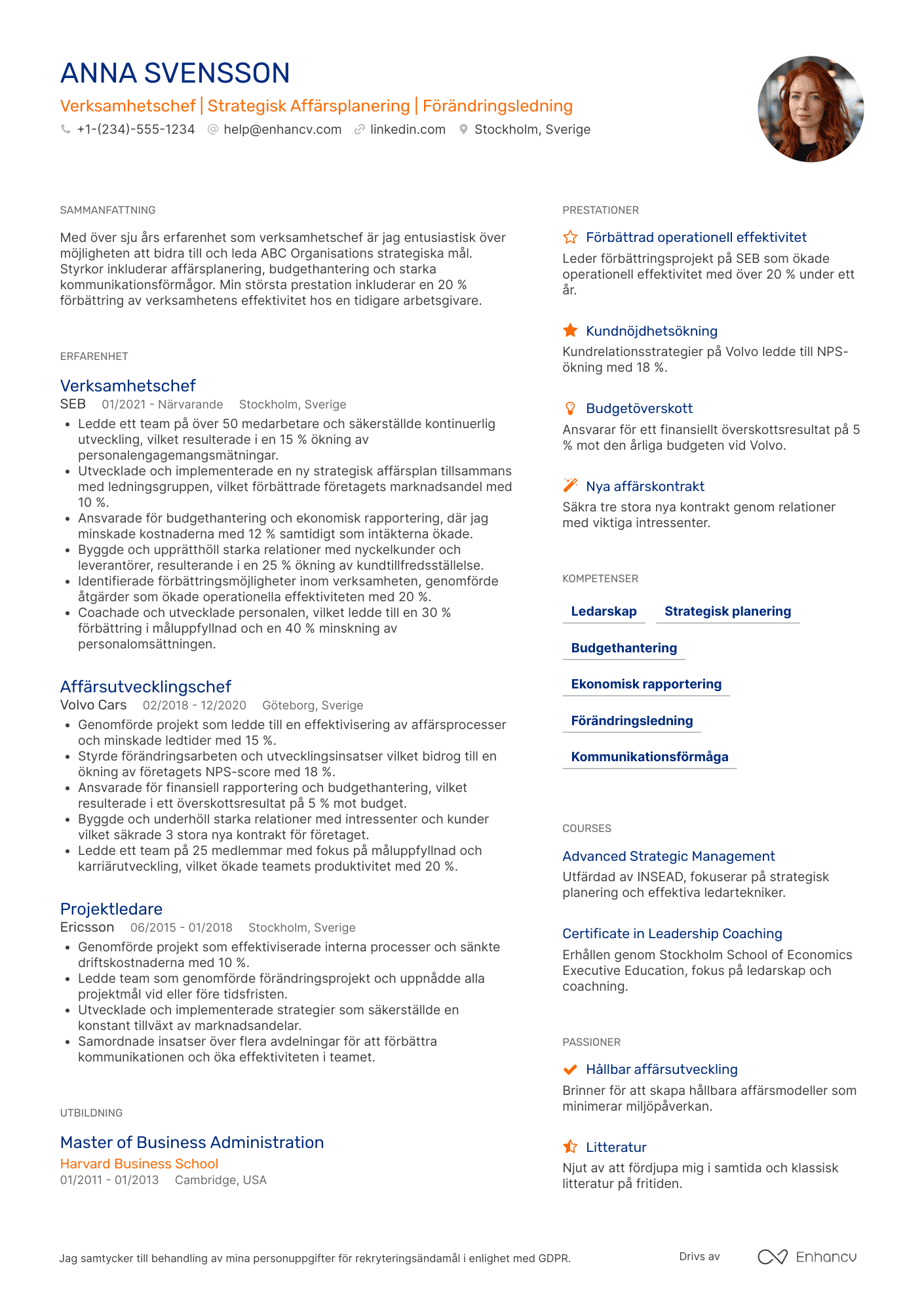 CV för Erfaren Verksamhetschef