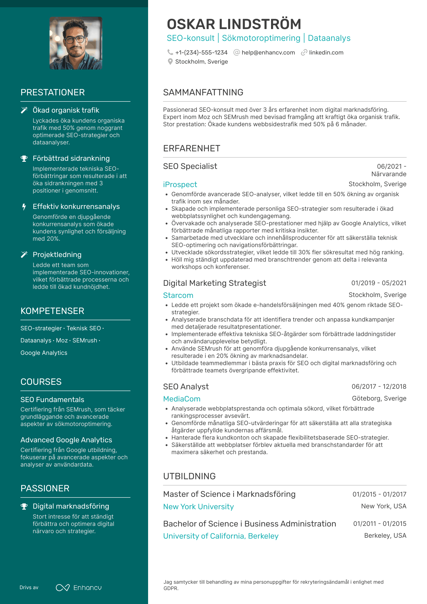 CV för SEO Consultant