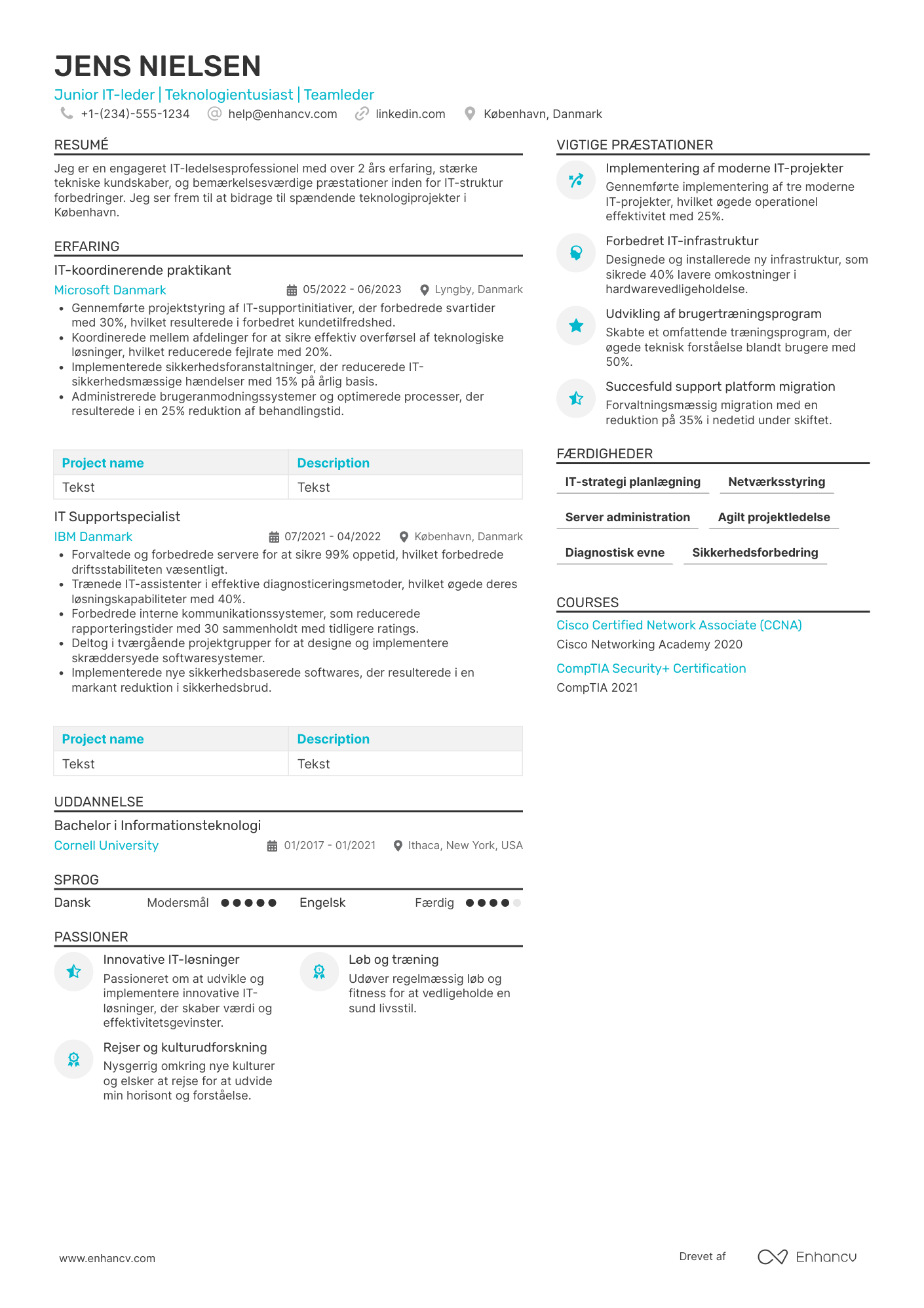 CV til Junior IT leder