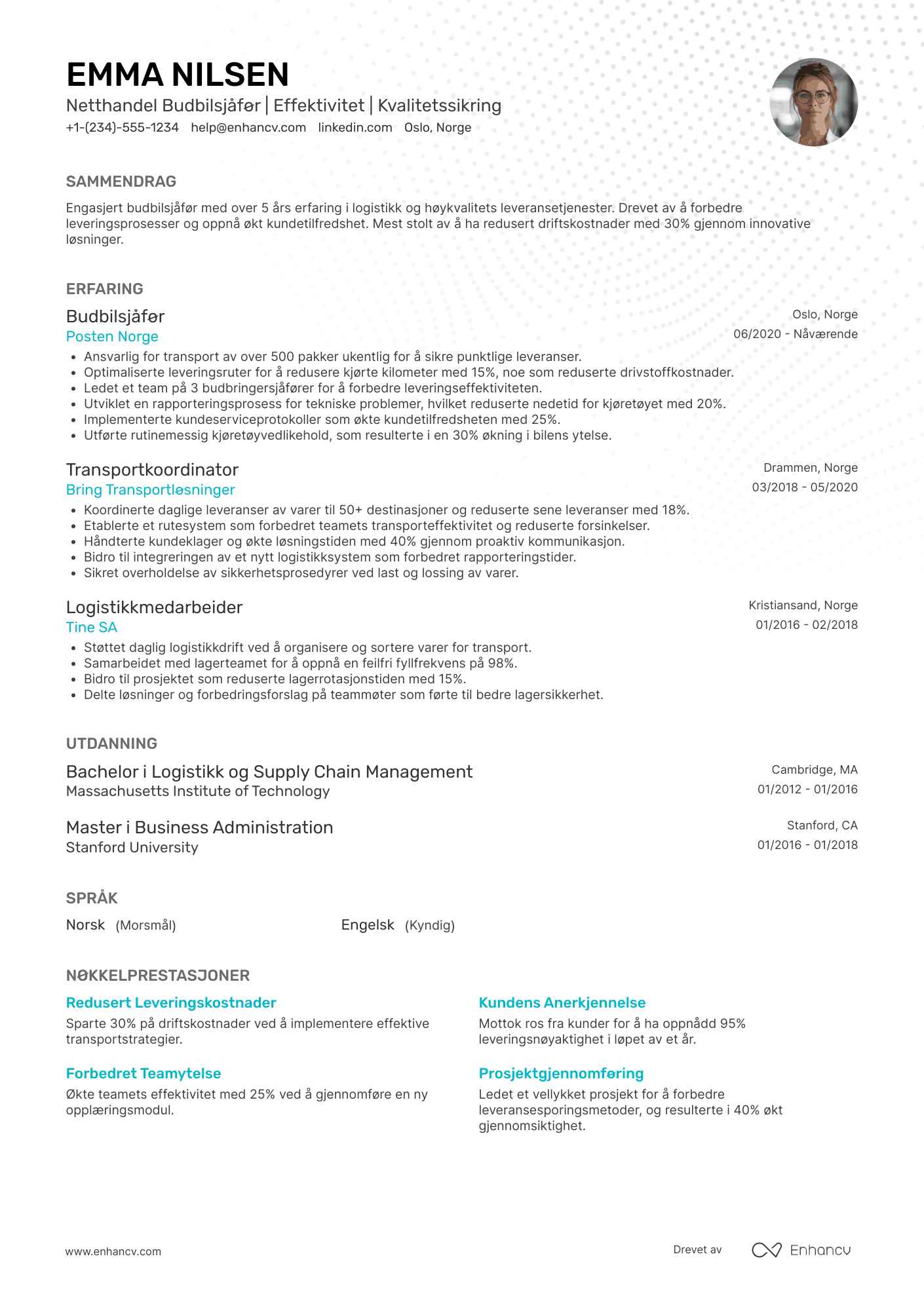 CV for Netthandel Budbilsjåfør