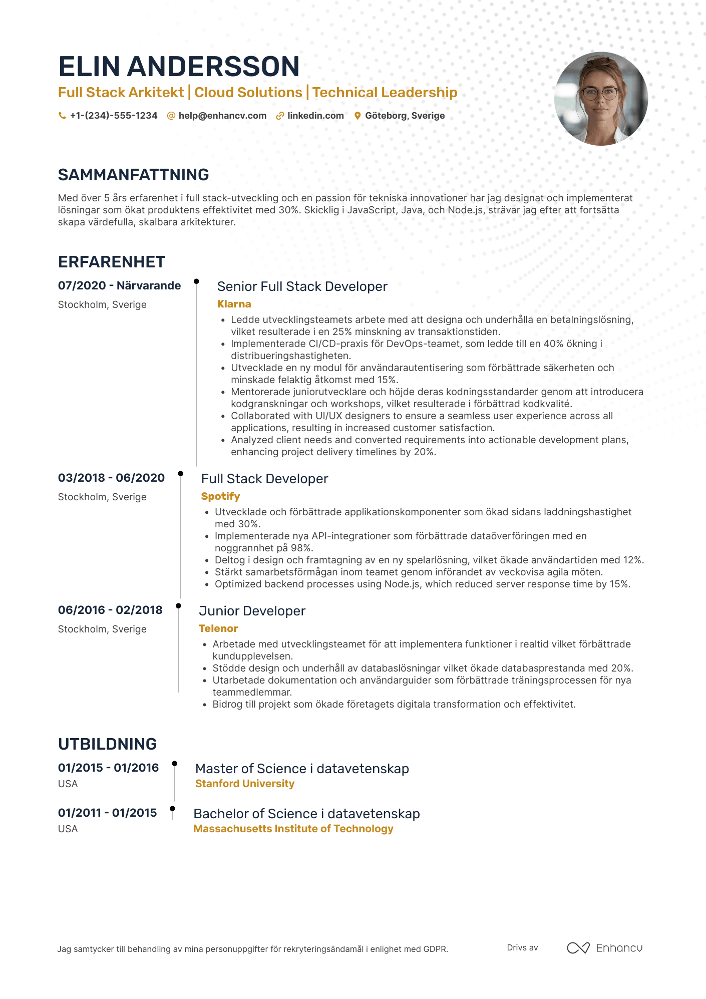 CV för Full Stack Arkitekt