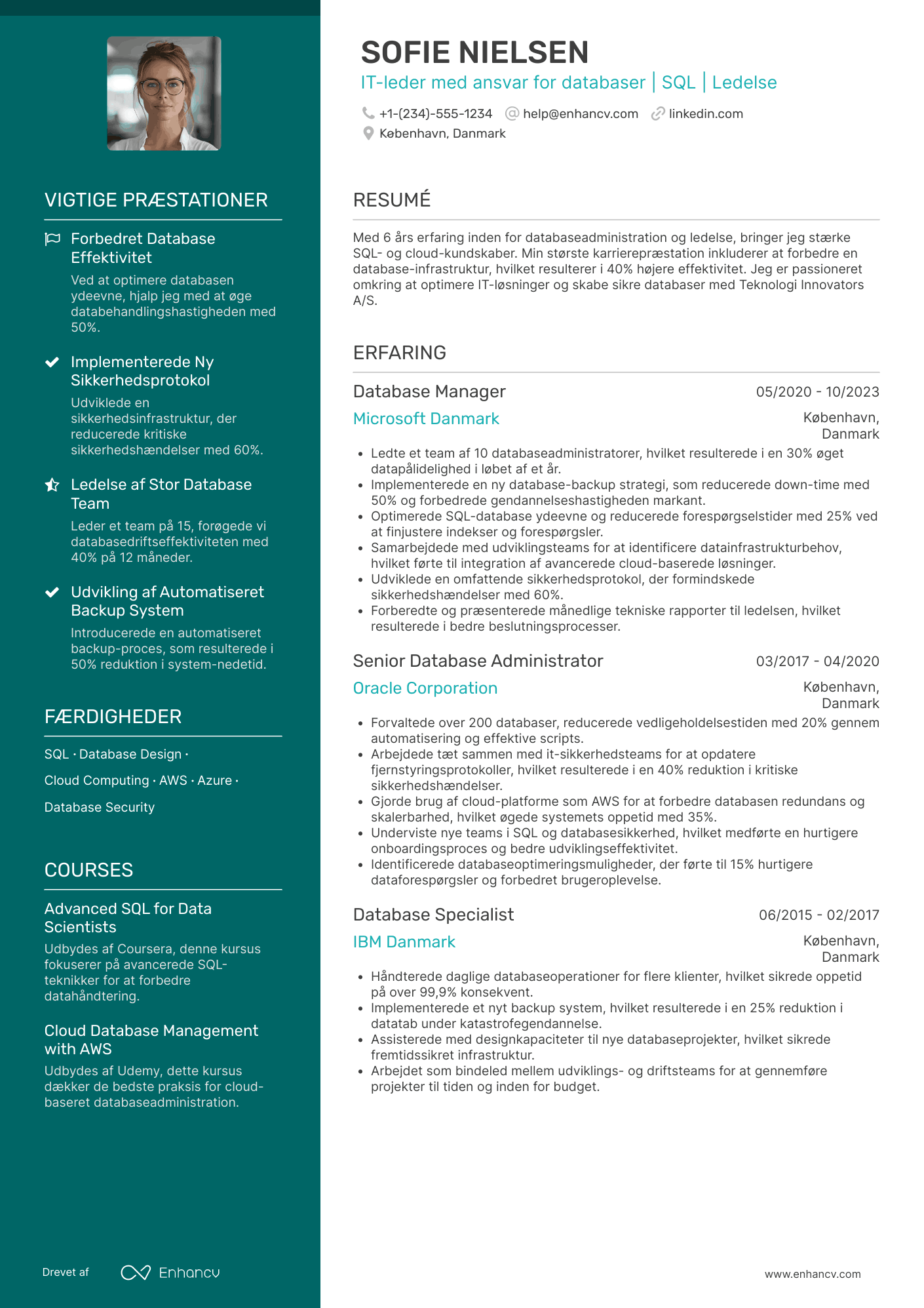 CV til IT leder med ansvar for databaser