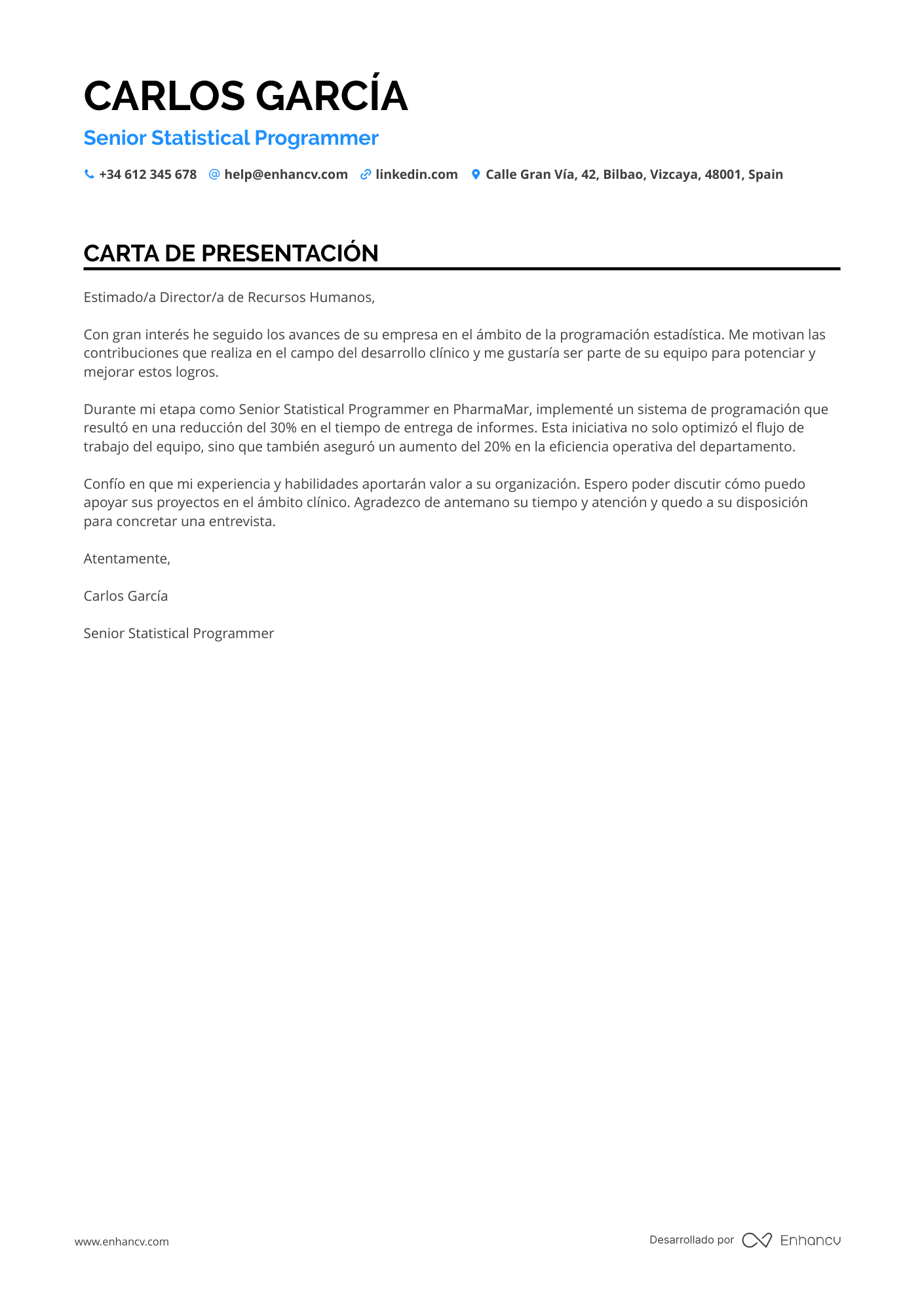 Programador de Informática