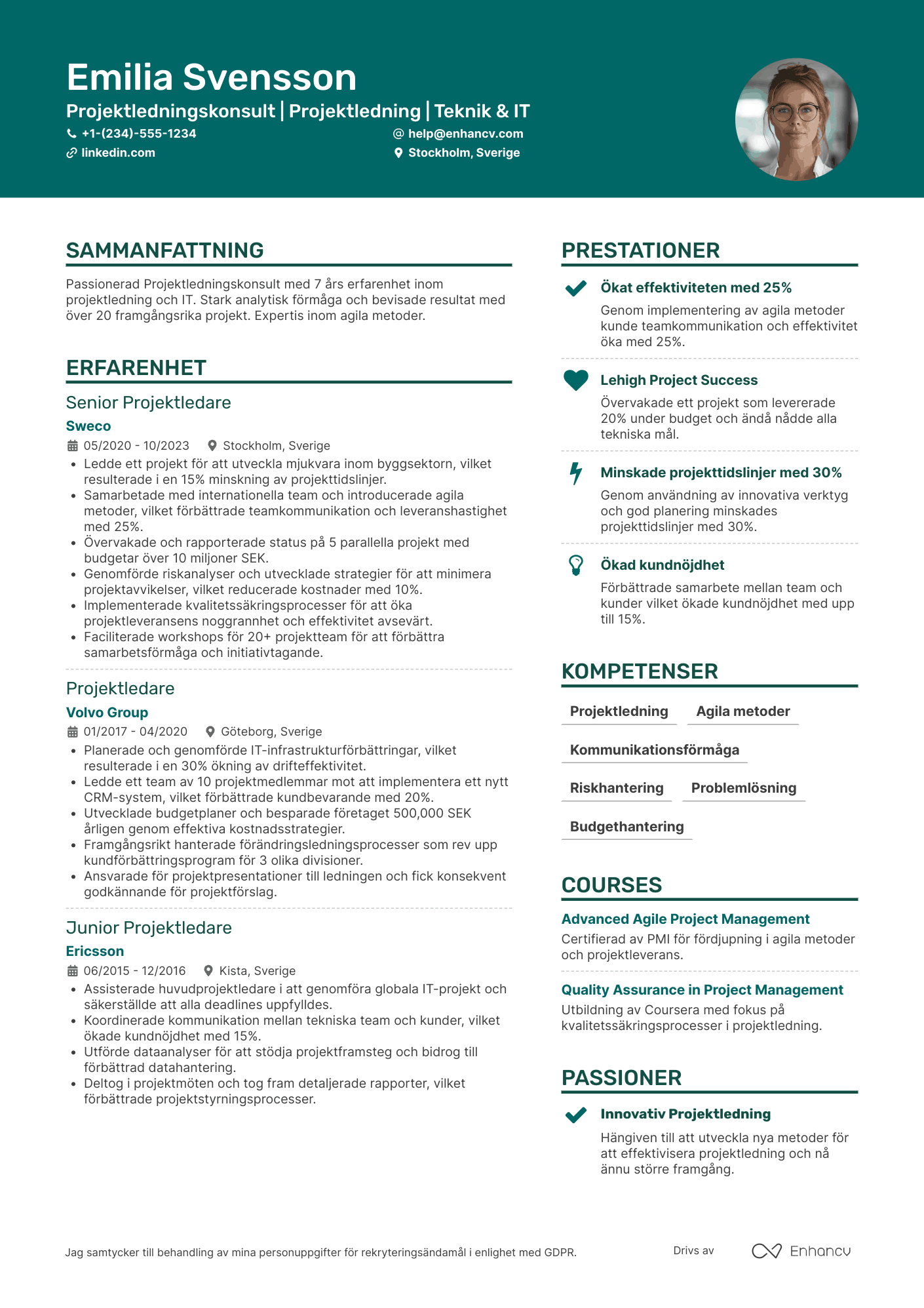 CV för Projektledningskonsult