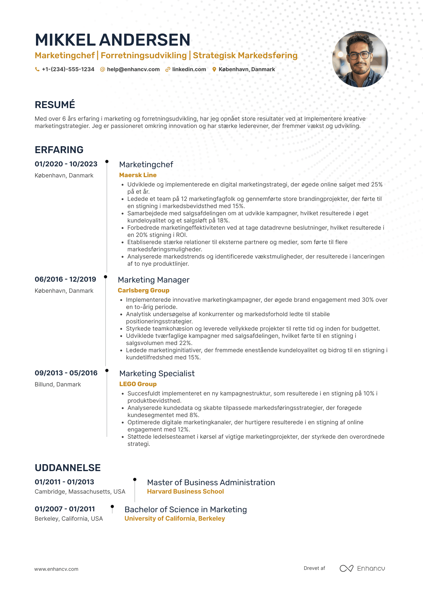 CV til Marketingchef for forretningsudvikling