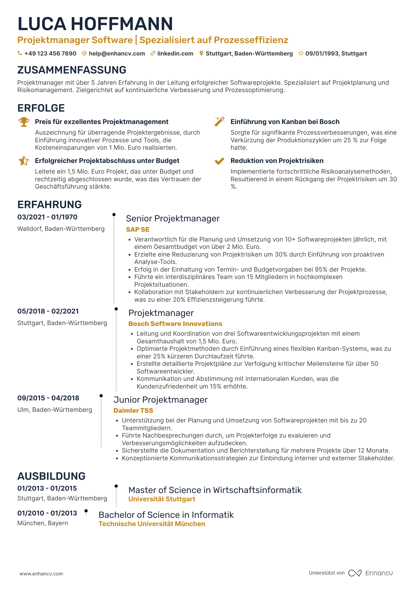 Lebenslauf als Projektmanager im Bereich Software