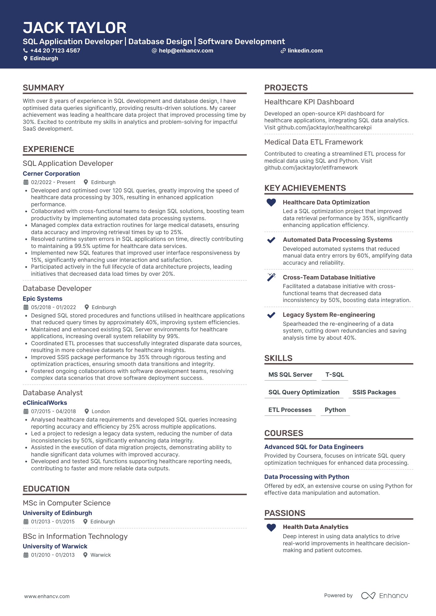 Application Developer CV Examples