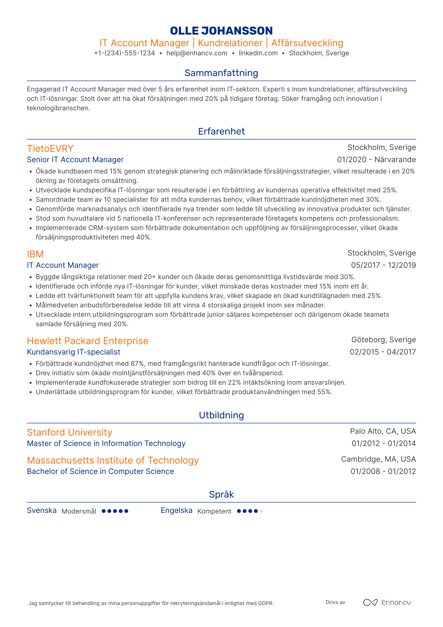 CV för IT Account Manager