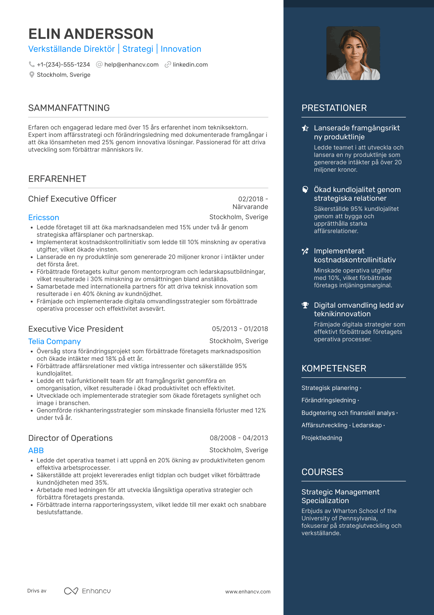CV för VD Director
