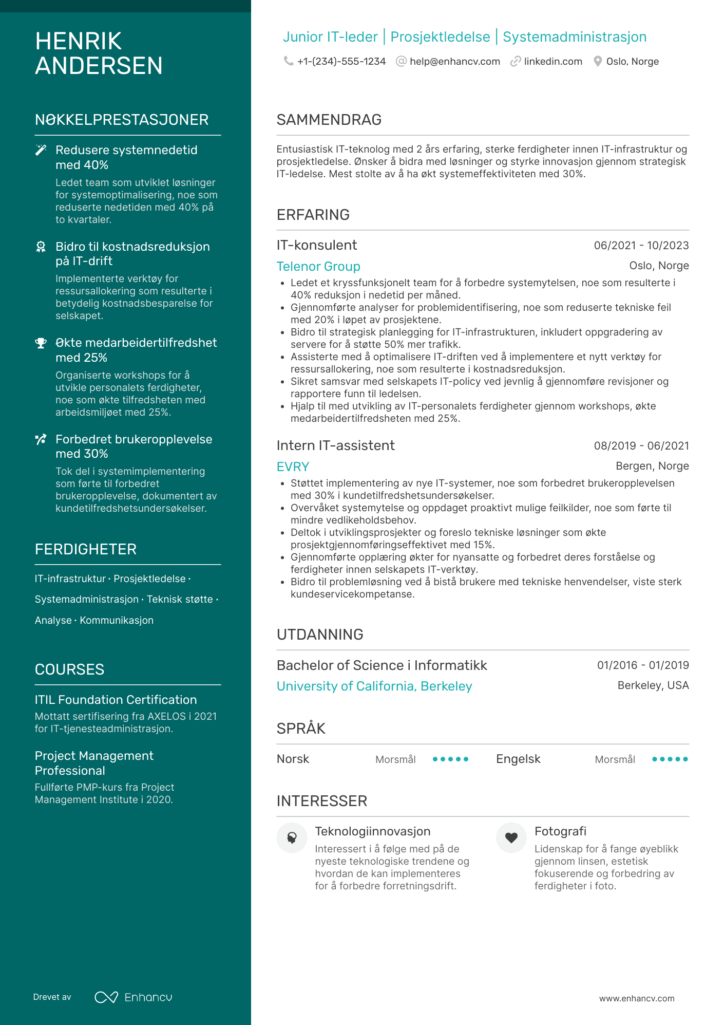 CV for Junior IT leder