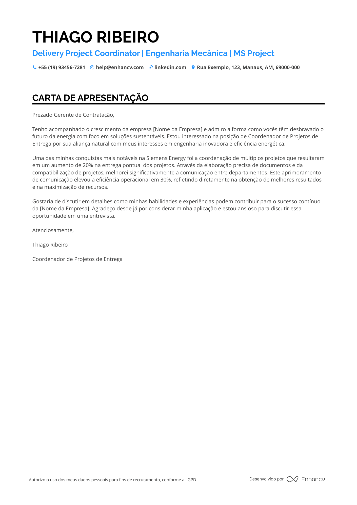 Coordenador Financeiro de Projetos