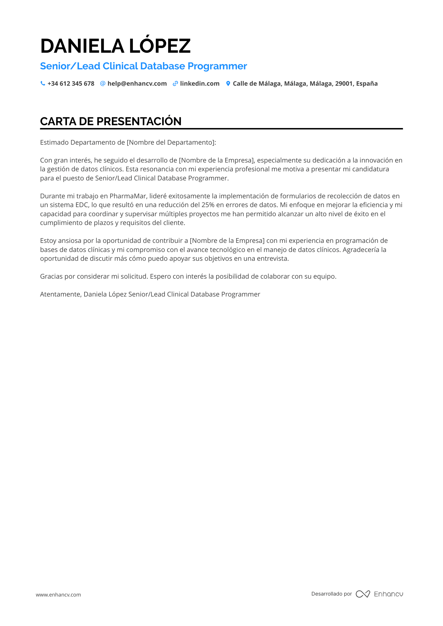 Líder de Programadores