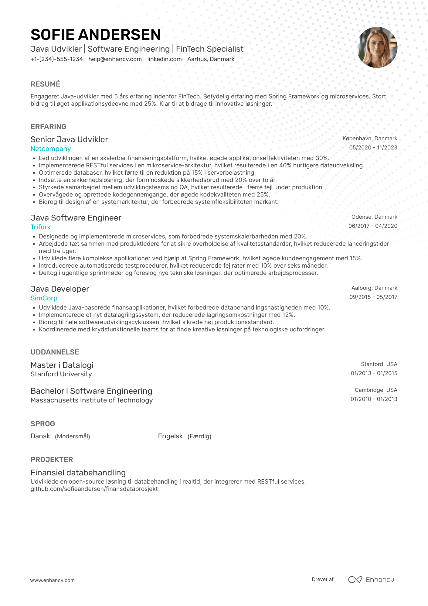 CV til Java Udvikler i FinTech