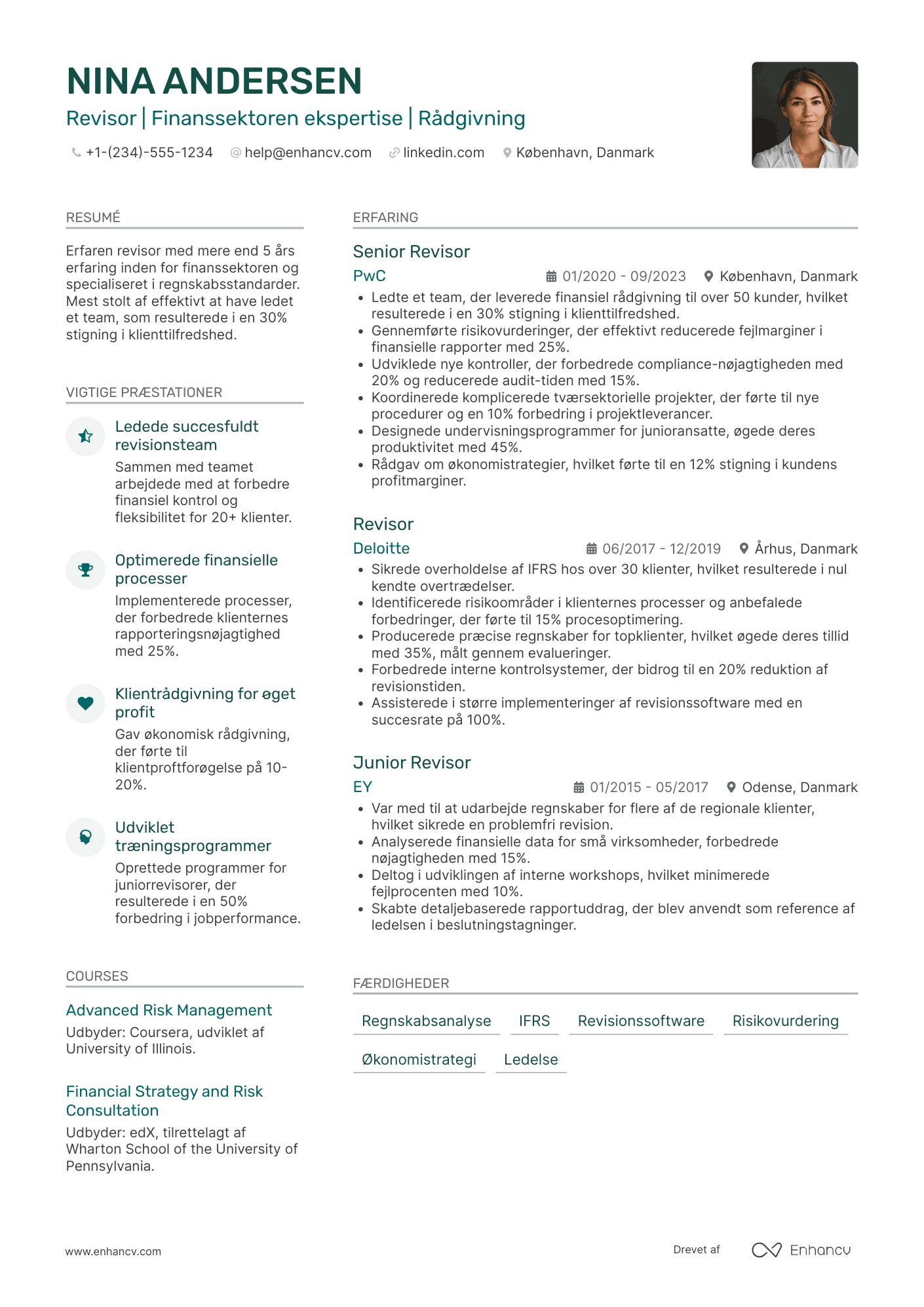 CV til Revisor i finanssektoren