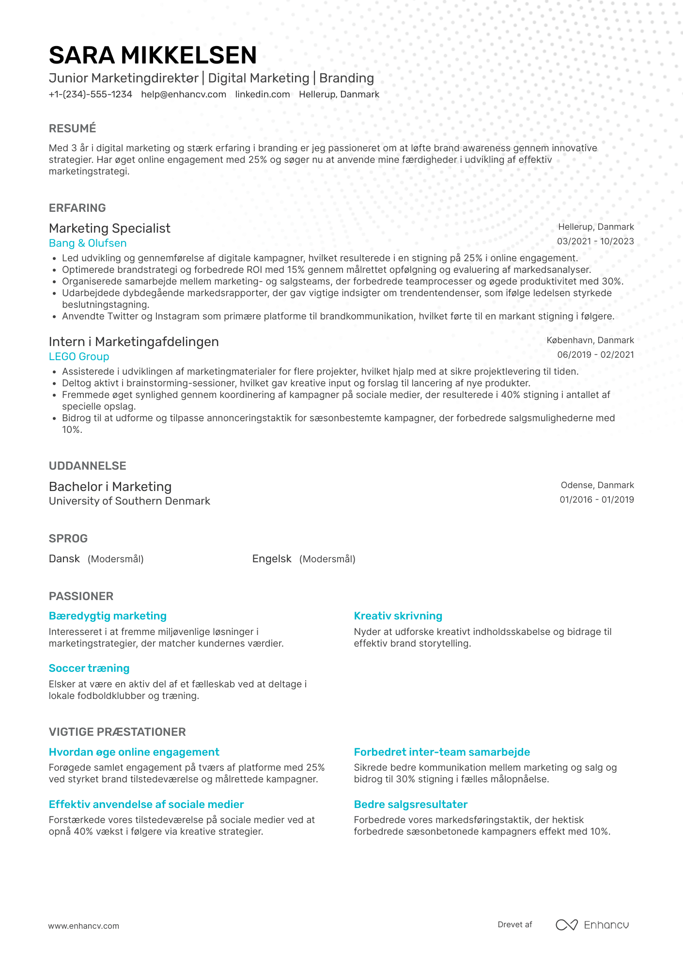 CV til Junior marketingdirektør